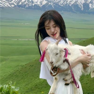 奇怪的猫咪